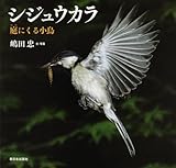 シジュウカラ: 庭にくる小鳥 (日本の野鳥)