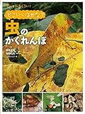 どこにいるかな? 虫のかくれんぼ (虫っておもしろい)