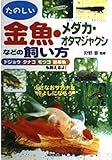 金魚・メダカ・オタマジャクシなどの飼い方: たのしい 小さなおサカナと仲よしになろう ドジョウタナゴモツゴ熱帯魚も飼えるよ!