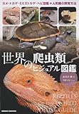 世界の爬虫類ビジュアル図鑑: カメ・トカゲ・ミミズトカゲ・ヘビ図鑑+人気種の飼育方法