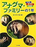 アナグマ・ファミリ-の1年 (子ども科学図書館)