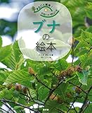 校庭の木・野山の木6 ブナの絵本 (まるごと発見!校庭の木・野山の木)