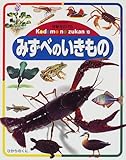 みずべのいきもの 改訂新版 (体験を広げるこどものずかん 10)