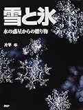 雪と氷 水の惑星からの贈り物 (楽しい調べ学習シリーズ)