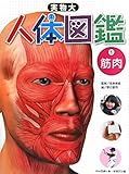 実物大 人体図鑑 1筋肉