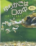 ゆりかごは口の中: 子育てをする魚たち (地球ふしぎはっけんシリーズ 10)