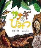 サナギのひみつ: 完全変態する昆虫のひみつ (ポプラサイエンスランド 7)