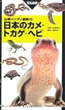 ハンディ10日本のカメ・トカゲ・ヘビ (山溪ハンディ図鑑 10)