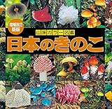 増補改訂新版 日本のきのこ (山溪カラー名鑑)