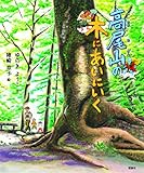 高尾山の木にあいにいく