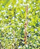 雨ニモマケズ -宮沢賢治の詩とことば