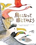 鳥になって感じてみよう