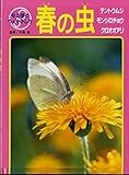春の虫: テントウムシ・モンシロチョウ・クロオオアリ (なるほどウォッチング)