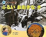ふるいおおきなき (エコ育絵本ちきゅうのなかまたち 11)