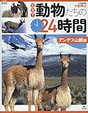 密着!動物たちの24時間 (アンデス山脈編)