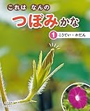 ①こうてい・かだん (これはなんのつぼみかな)