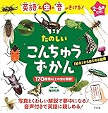 英語&虫の音がきける! たのしい こんちゅうずかん