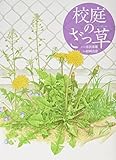 校庭のざっ草 (福音館の科学シリーズ)