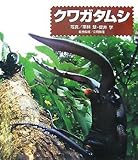 クワガタムシ (ドキドキ!生きもの発見 2)