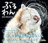 ぶるわん