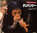 チンパンジ- (大自然の動物ファミリー 1)