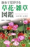 散歩で見かける草花・雑草図鑑