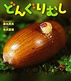 どんぐりむし (しぜんといっしょ 4)