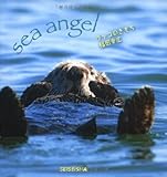 ラッコのきもち―sea angel (Seiseisha minibook―sea angel) (Seiseisha mini book)