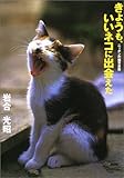 きょうも、いいネコに出会えた: ニッポンの猫写真集