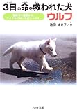3日の命を救われた犬ウルフ: 殺処分の運命から、アイドルになった白いハスキ-