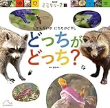 どっちが どっち?: しぜんかいの にたものさがし (NHK「ミミクリーズ」 2)