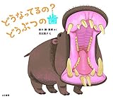 どうなってるの? どうぶつの歯
