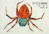 Very Busy Spider
