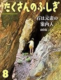 石は元素の案内人 (たくさんのふしぎ2022年8月号)｜mi:te[ミーテ]