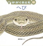 へび (かがくのとも 2024年10月号)