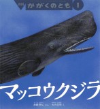 マッコウクジラ (かがくのとも 2025年1月号)