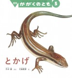 とかげ (かがくのとも 2026年5月号)
