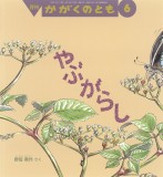 やぶがらし (かがくのとも 2026年6月号)